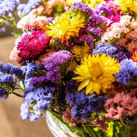 Hotel Ecole - & Restaurant - Teritoria