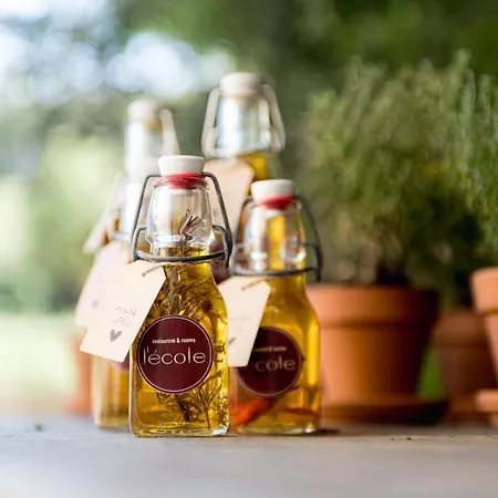 Hotel Ecole - & Restaurant - Teritoria Olargues